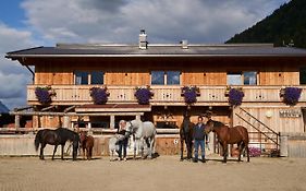 B&B Margit'S Ranch Urlaub Am Pferdehof